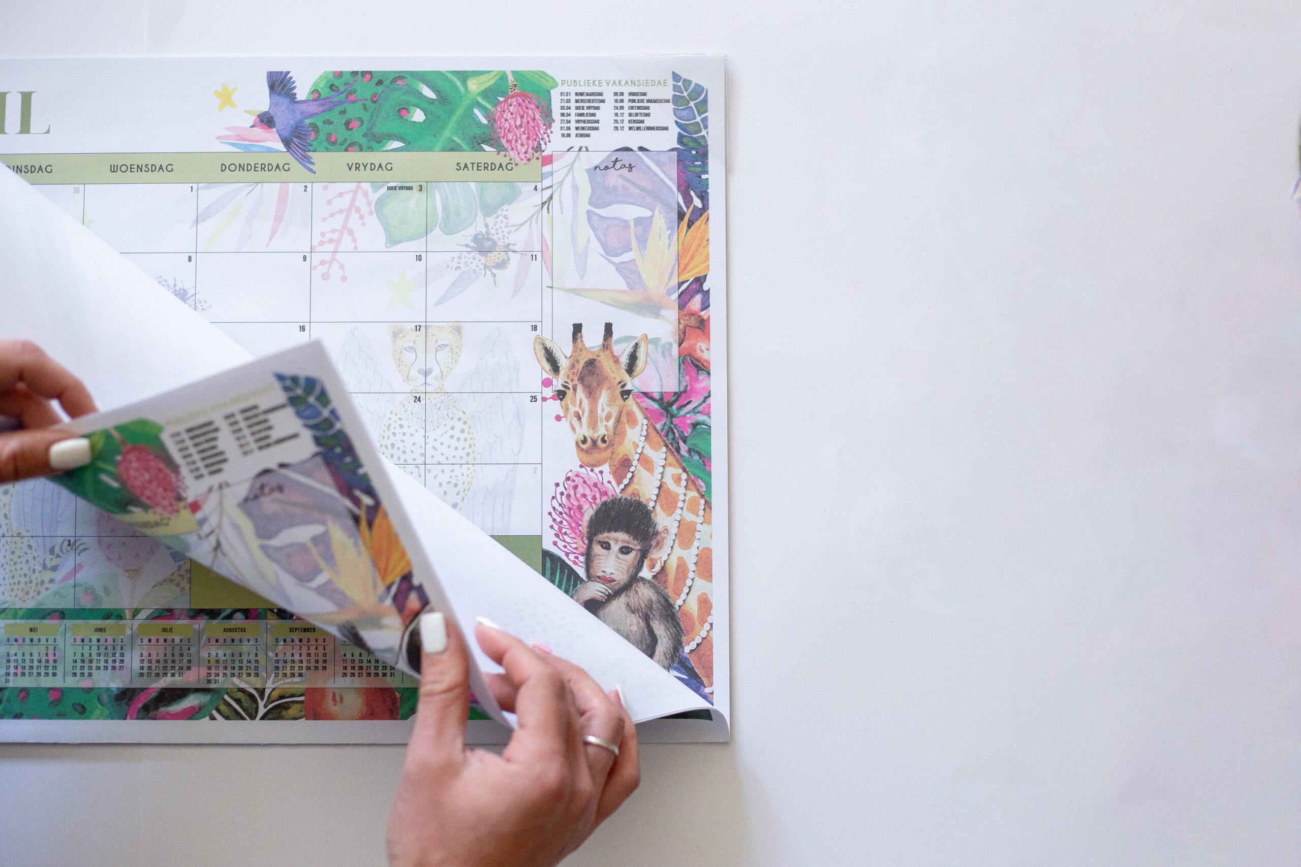 A5 diary + desk calendar combo - Image 5