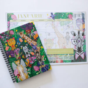 A4 diary + desk calendar combo